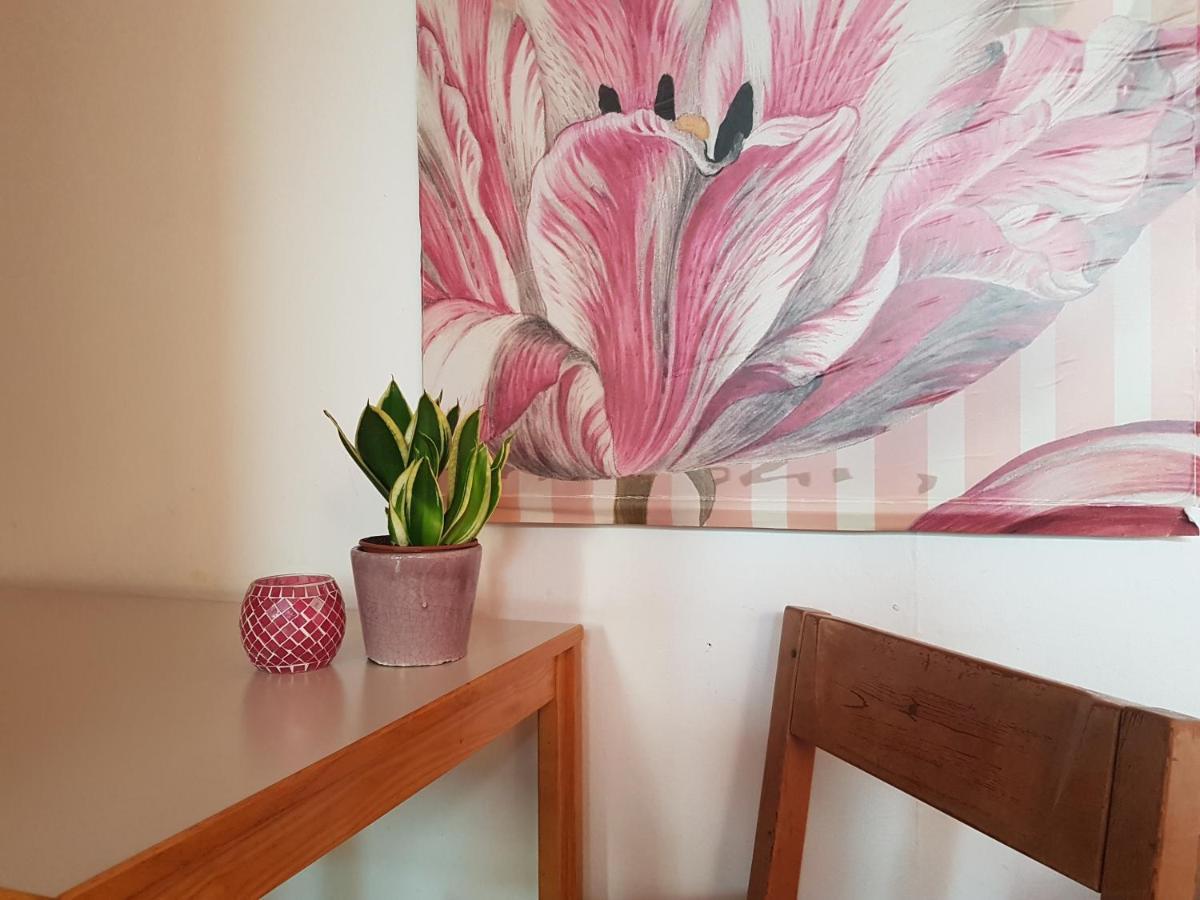 Auberge de jeunesse Penthouse Backpackers à Osnabrück Extérieur photo